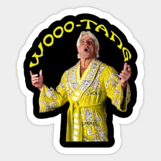 Woo,... ric flair Sticker